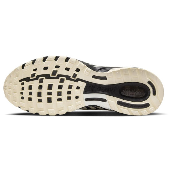 Nike Air Pegasus 2005